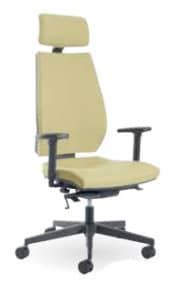 Specialist/Posture Product