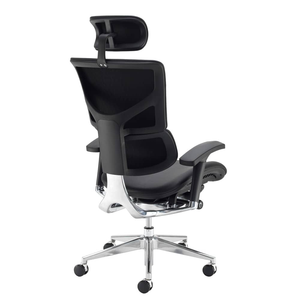 dynx401e1-c_back