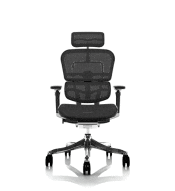 Deluxe Posture Mesh Chairs Product