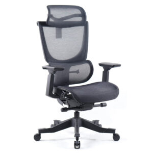 Ortho posture chairs Product