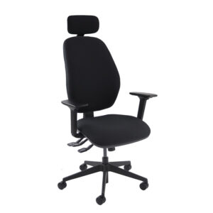 Ortho posture chairs Product